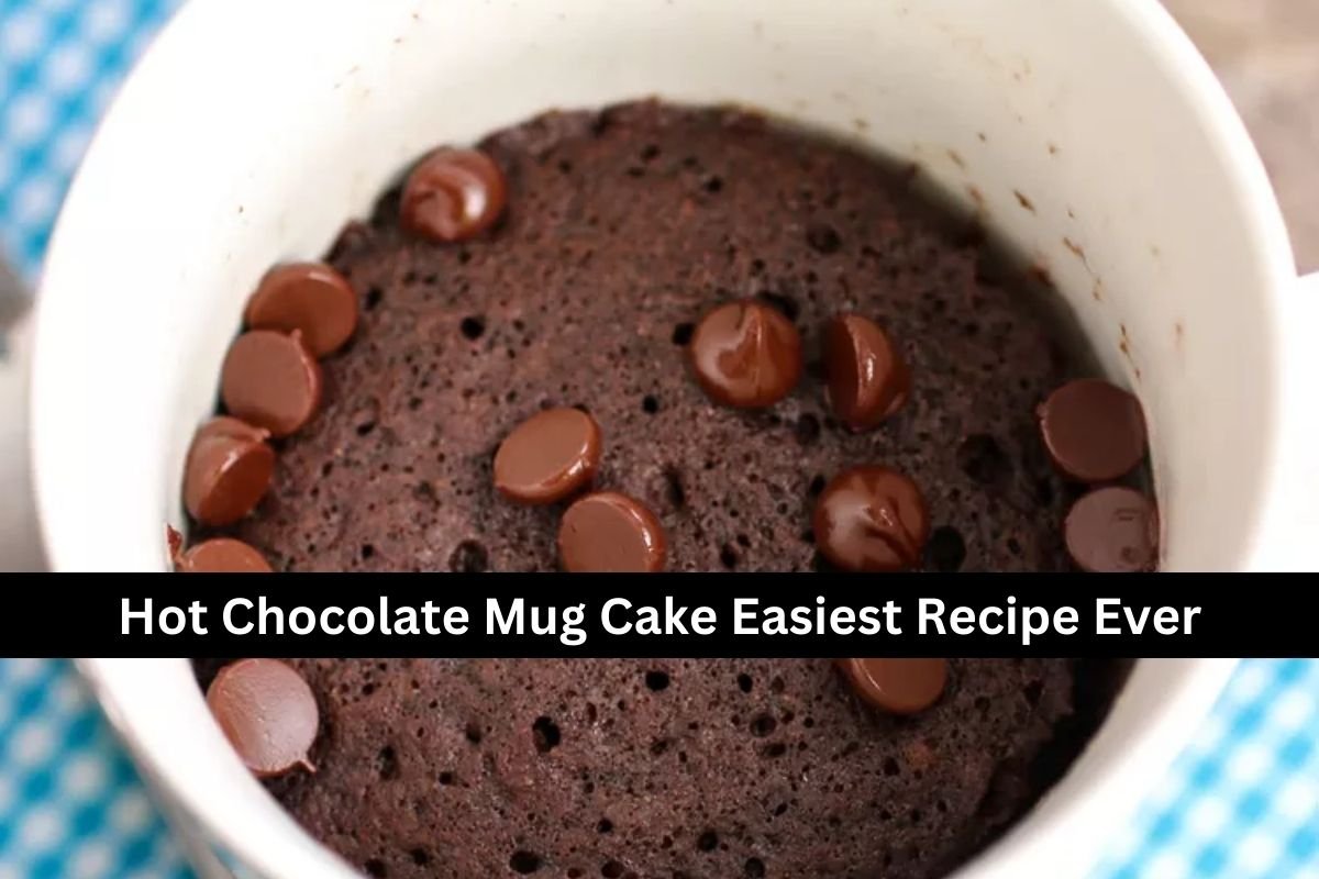 Hot Chocolate Mug Cake Easiest Recipe Ever